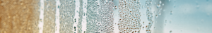 effet condensation , eau dans le gasoil